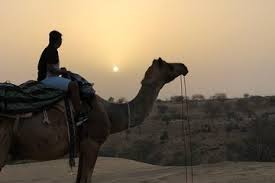 Jodhpur city tour you will begin your trip with pickup from the airport, railway station, hotel, or other desired place in jodhpur. Desert Safari Half Day Tour In Jodhpur Provided By Jodhpur Camel Safari Private Day Tours Jodhpur District Tripadvisor