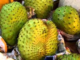 Jicama, which is commonly known as 'sengkuang' in malaysia, is a delicious fruit known for its sweet and crunchy taste. Fruit Malaysia Malaysian Fruits Name And Picture