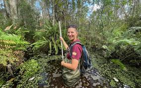 Image result for Dark Forest Green 1986 Fleet