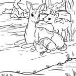 We did not find results for: Ausmalbilder Tiere Im Wald Kostenlos Drucken Und Ausmalen Fur Kinder