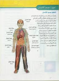 صور جسم الانسان الجسم البشري في صور صداقة الأصدقاء