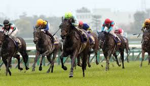 Самые новые твиты от 熟女会 (@shunvhui). æ¡œèŠ±è³ž2021 å‡ºèµ°äºˆå®šé¦¬ äºˆæƒ³ã‚ªãƒƒã‚º äººæ°—é¦¬è¦‹è§£ ï½†å¼ç«¶é¦¬