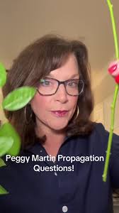 How Often to Water Peggy Martin Rose