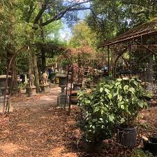 There is a purpose for every plant, rcw nurseries landscaping specialists are here, waiting to help you choose plants for your home. Maas Nursery 8 Tips