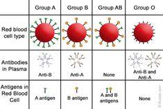 15 best blood types images blood blood groups medical