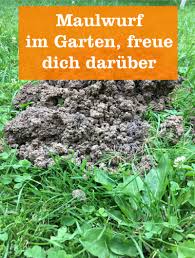 Build zu einem sichereren ort für sie und ihre familie zu fahren. Der Maulwurf Im Garten Gartenbob De Der Garten Ratgeber