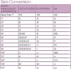 bra size conversion chart reference pinterest la