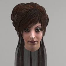 Long Female Hair 10 Species Low Poly 3d Model Hair Female Long Model Womens Hairstyles Low Poly 3d Models Hair