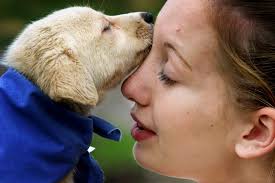 Nashville Then: 20 years ago in May 2000