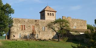 La caisse d'allocations familiales (ou caf) est un acteur majeur de la solidarité nationale. Actualites Saint Alban Du Rhone