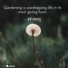 Best quotes in hindi | good quotes in hindi. Best Gardening Quotes Status Shayari Poetry Thoughts Yourquote