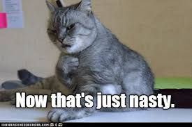 But we live in the information age, where all of these hilarious pictures, can make it to the internet for us to enjoy. Nasty Lolcats Lol Cat Memes Funny Cats Funny Cat Pictures With Words On Them Funny Pictures Lol Cat Memes Lol Cats
