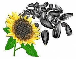 Pana la finalul studiului, cele doua grupuri au inregistrat o scadere a colesterolului total si a colesterolului ldl. Beneficiile De SeminÈ›e De Floarea Soarelui È™i Cate Calorii Din SeminÈ›e