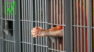 Up to $1,400 will be added to your check for each dependent with a social security number. Can Prison Inmates Claim Their Own Stimulus Checks Fox61 Com