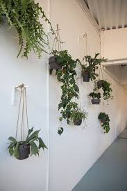 They can double as wall art, too! 40 Most Hot Hanging Plants Ideas At The End Of The Year Hanging Plants Hanging Plants Indoor Hanging Planters Outdoor