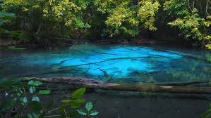 How to complete the forest game plane crash you're on the plane when it suddenly tips and ponds are clear water lake like places found in the forest. Sra Marakot Blue Pool With Stock Footage Video 100 Royalty Free 14393740 Shutterstock