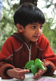 CANOPY IMPACT RePORT