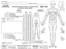 Asia Score And Spinal Injury Classification Spinal Cord