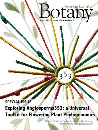 Image result for Aporrhiza paniculata