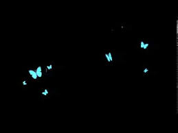 Butterfly Overlay 2d Animation Free Youtube In 2020 Iphone Background Images Love Background Images Photoshop Backgrounds Free