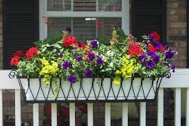 We did not find results for: Medallion Window Box Or Liner Hooks Lattice Blog Window Box Flowers Balcony Flower Box Railing Flower Boxes