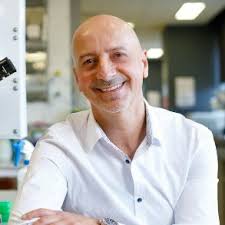 Supervisors' Research Areas