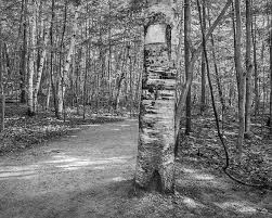 Maybe you would like to learn more about one of these? Scarred Birch And Forest Trail Michigan Photography Forest Nature Light Blackandwhite Fineart By Phillip Nicholas Photo Stock Snapwire
