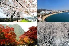 Korea Tourism Organization Indonesia Cuaca Korea