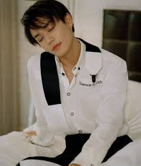 Lin Yanjun Handsome Boys Yan Celebrities