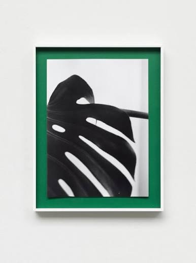 Work by Ian Waelder