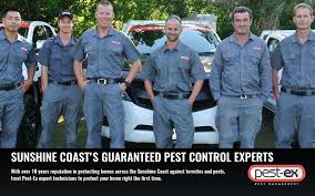Pest ex is the uk's trade & conference exhibition for the pest control industry, which is held at the excel exhibition centre in london. Pest Ex A Wide Variety There Are 10 Suppliers Who Sells Pest Ex On Alibaba Com Mainly Located In Asia Sultanah In Game