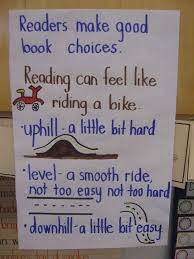 Balanced Literacy On Pinterest Just Right Books Anchor