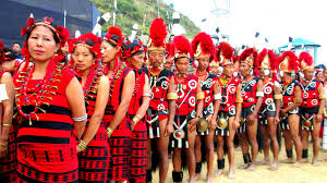 Image result for Tribal Tour of India, Nagaland and Northeast India