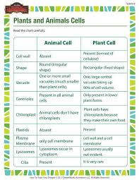 Plants And Animals Cells Printable Science Worksheets For 5th Grade Science Cells Science Worksheets Biology Classroom