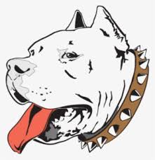 Drawing Of American Bully Transparent Png 1000x1200 Free Download On Nicepng It hurts our feelings, and many people who are bullied develop depression, anxiety, loneliness, and physical this is especially disengaging for bullies who have counted on you to be a meek, easy target. drawing of american bully transparent