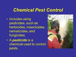 A pest is anything that: Integrated Pest Management Ppt Video Online Download