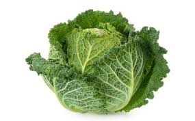 Cuisson Chou Vert Cuisson Chou Vert Chou Vert Chou Pomme