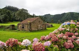 Resultado de imagem para ilha de sÃ£o miguel aÃ§ores
