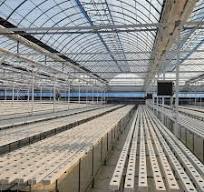 Supply Commercial Planting Hydroponics Greenhouse Water ...