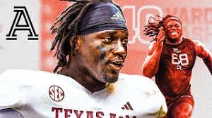 What would the Panthers be getting if they draft Shemar Stewart?