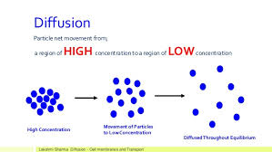 What Is The Definition Of Diffusion Socratic