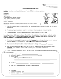 Cellular Respiration Activity