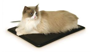 Many of our associates have family, friends, and colleagues across india. K H Heated Pet Cat Bed Black Walmart Com Walmart Com