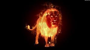 Maybe you would like to learn more about one of these? Fire Lion Wallpaper Lion Wallpaper Fire Lion Lion Pictures