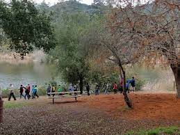 You can picnic at heavenly pond while wildlife viewing. Franklin Canyon Park Mrca