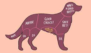 Have You Been Petting Your Dog Wrong Your Whole Life The Dog People By Rover Com