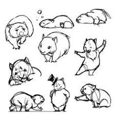How To Draw A Wombat Animal Drawings Drawings Animal Sketches
