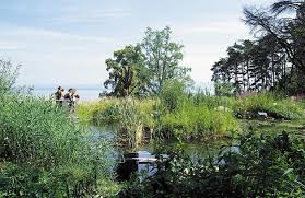Ici, l'eau passe du ruisseau à la mare, la prairie humide et le marais. Loisirs Et Activites A Evian Les Jardins De L Eau Du Pre Curieux