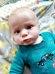 Are the Highland cow owners in this group?