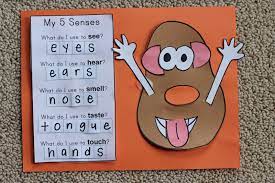5 Senses Art And Craft Activities Google Search Senses Preschool Five Senses Kindergarten Preschool Family Theme